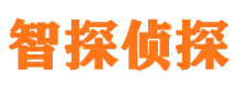 平川市场调查